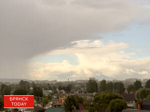 В Росавиации сообщили, что аэропорт «Брянск» готов к открытию