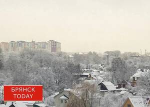 Жителей Брянской области пугают морозами до −25 градусов