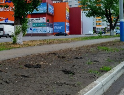 В Брянске толстяк начал разрушать новый тротуар возле «Речного»