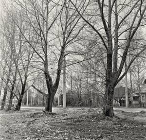 Брянцам показали снимок улицы Бежицкой до стройки пединститута