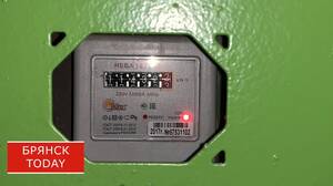 Нарушение пломбы на счётчике электроэнергии довело брянчанку до суда