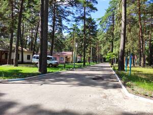 Сельцовский психоневрологический интернат: история, преобразования и современные условия