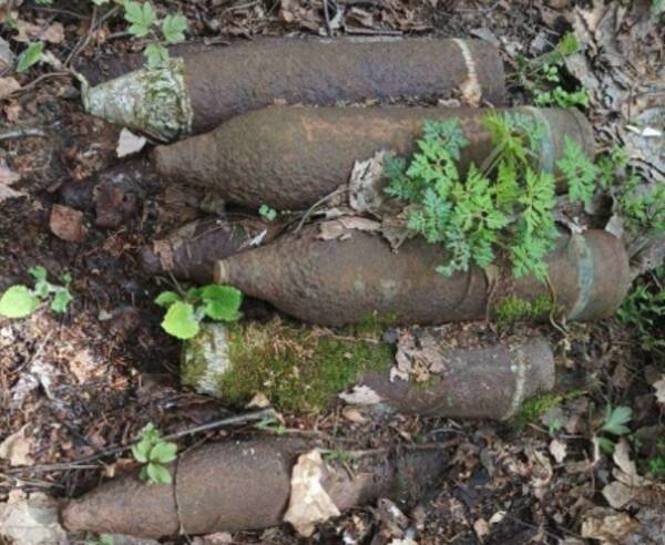В Погарском районе нашли 6 артиллерийских снарядов