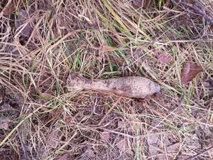 Переполох в Рогнединском районе: сапёры предотвратили взрыв