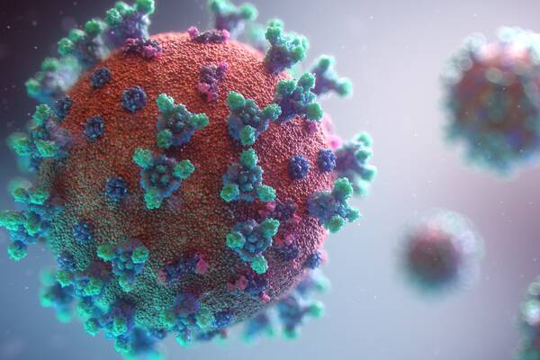 Вирус ищет нового хозяина: ученый предсказал окончание пандемии COVID-19