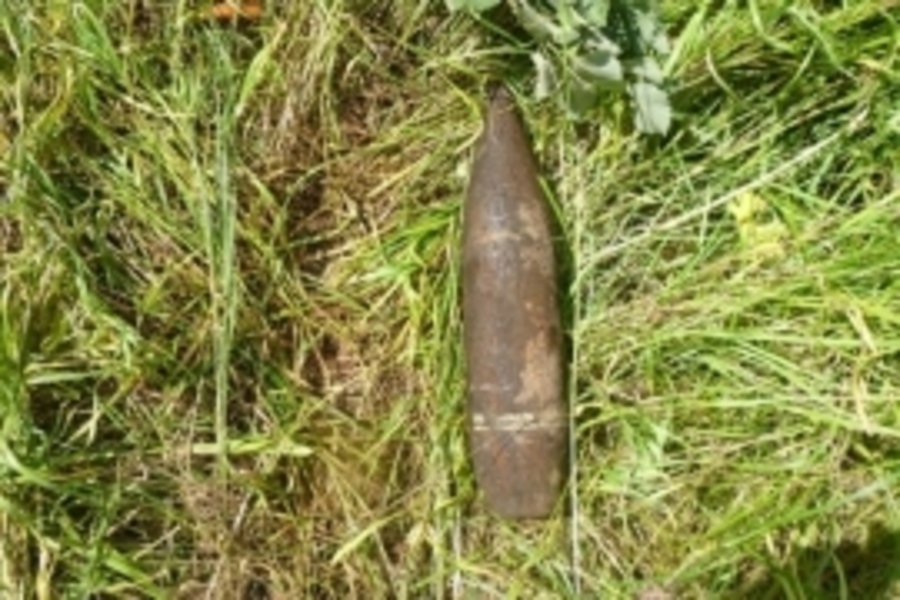 Под Дубровкой нашли более 30 снарядов, гранат и патронов