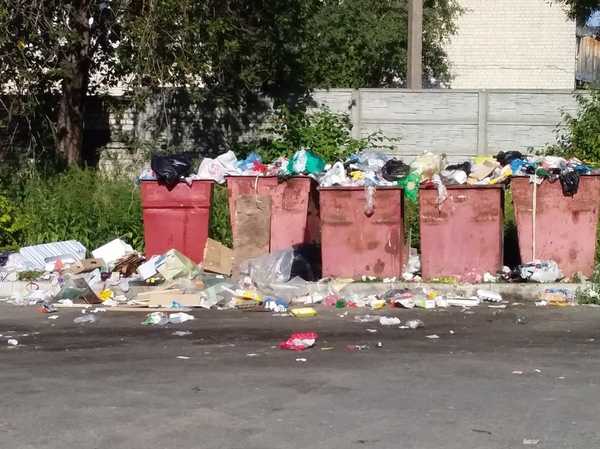 В Дятькове на улице Ленина заметили мусорный апокалипсис