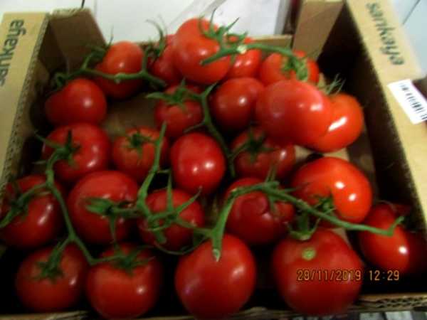На Брянщину не пустили 20 тонн томатов из Турции