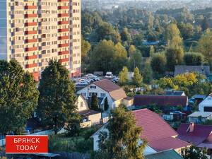 Брянцам рассказали, кто получит новую семейную льготу в 2026 году