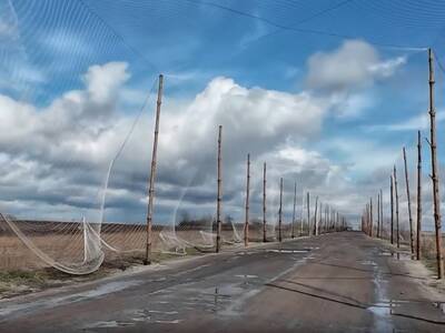 Повседневный героизм: жизнь и работа «Мираторга» в брянском приграничье