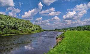 Росприроднадзор требует 50 млн с 