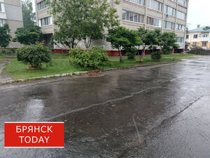 Брянский губернатор предупредил земляков о непогоде 13 июля