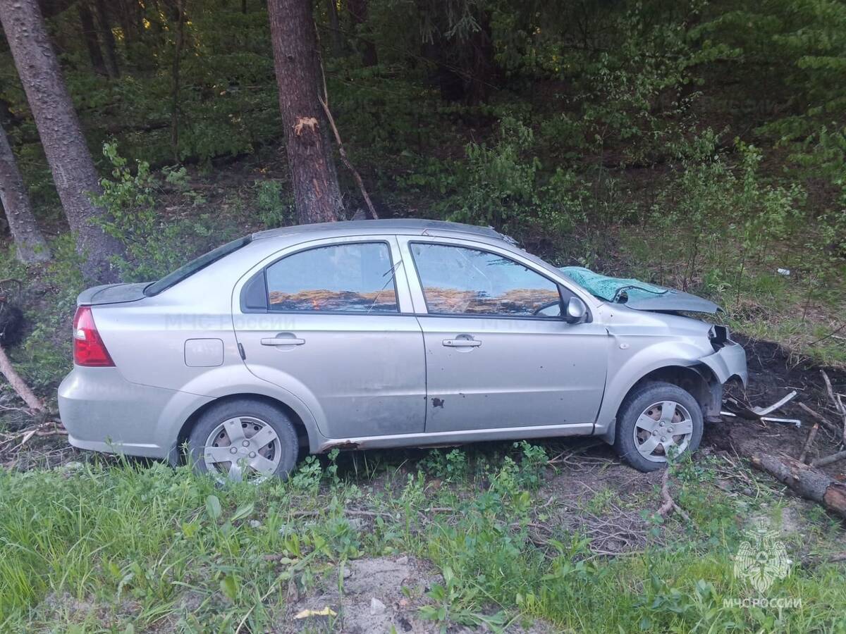 Под Брянском легковушка попала в ДТП у «Раздолья»