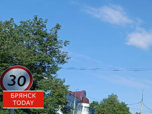 Остервенелое лето: брянцам пообещали 31-градусную жару 30 августа