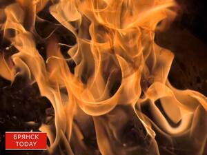 В Брянской области ликвидировали три техногенных пожара