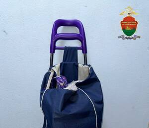 В Брянске женщина устроила ограбление на общественной остановке