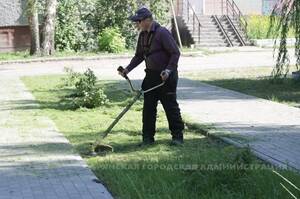За сутки в Брянске скосили почти 84 000 квадратных метров травы