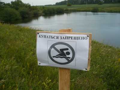 В Брянске из-за паразитов запретили купаться на озере у нефтебазы