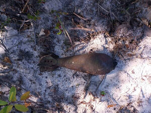 В День знаний в Карачевском районе предотвратили взрыв