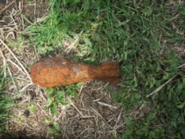 В Дятьковском районе обезвредили миномётную мину