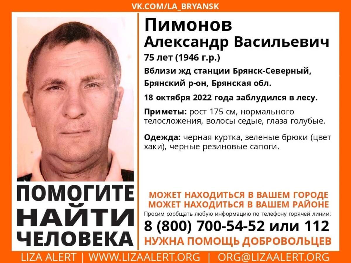 Под Брянском нашли погибшим пропавшего 75-летнего Александра Пимонова