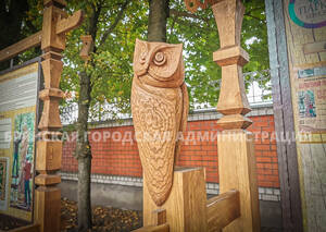 Резные совы украсили брянский парк Толстого