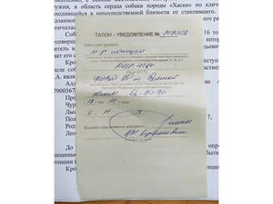 Что известно о ходе дела с застреленным хаски в Брянском районе