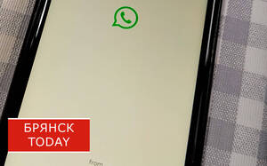 Брянская область может лишиться WhatsApp