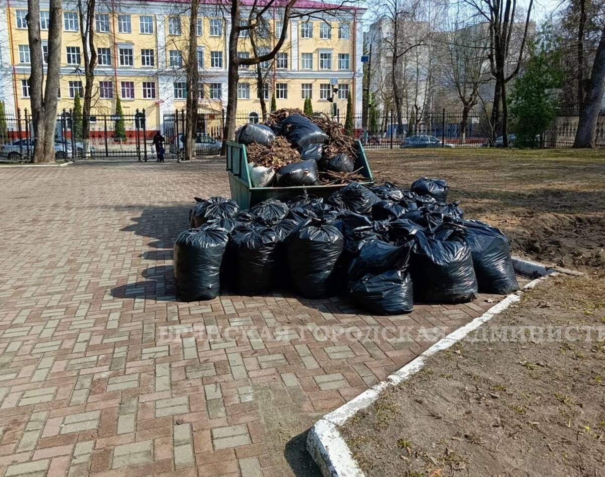 В Брянске в общегородском субботнике 6 апреля участвовали 4460 человек