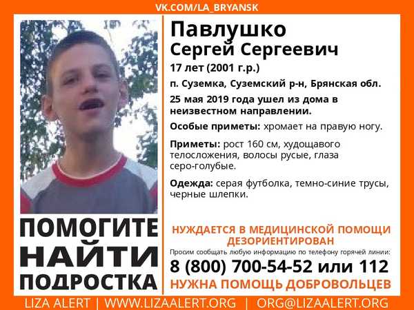 В Брянской области ищут пропавшего 17-летнего Сергея Павлушко