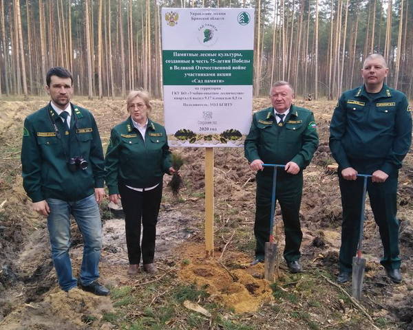 Территориальное управление лесного хозяйства