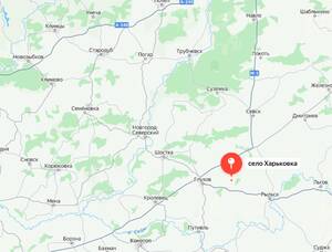 Минобороны: армия России установила контроль над селом возле брянской границы