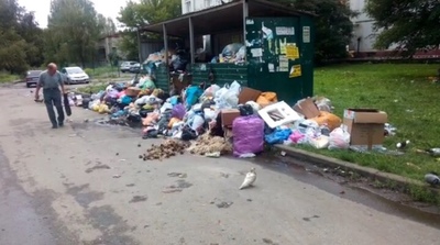 Мэрия Брянска не может победить мусорные свалки на улицах