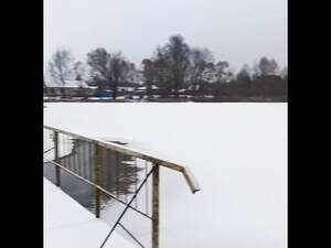 Птица вмёрзла в лёд: в Стародубский район выехали спасатели