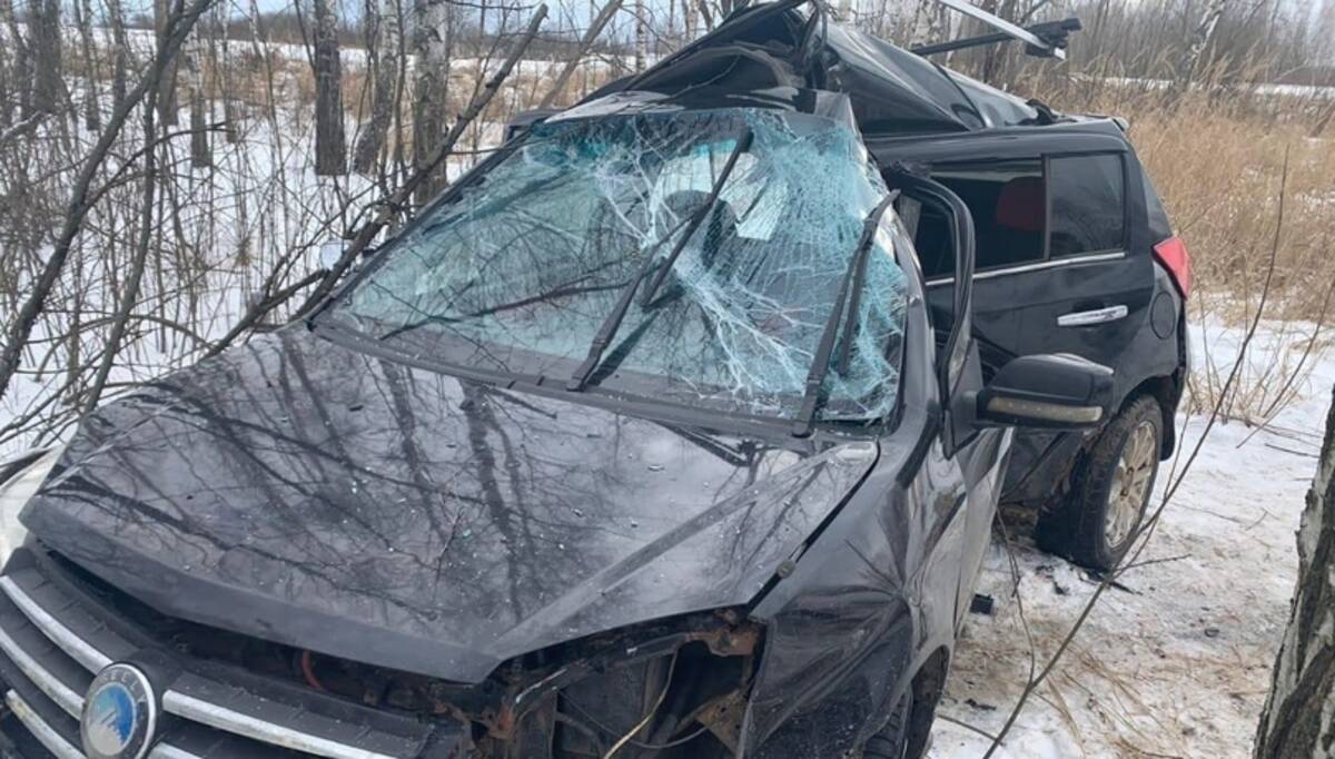 В ДТП под Почепом погиб 54-летний водитель