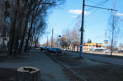 В Брянске деревья на 22 Съезда КПСС спилили из-за новой дороги
