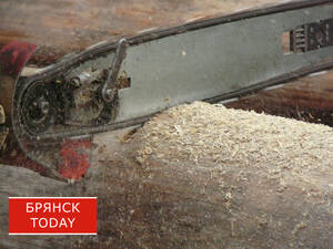 Двое жителей Навлинского района криминальным способом подготовились к холодам