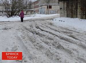 Брянцы пожаловались на снежную кашу по дороге к школе 