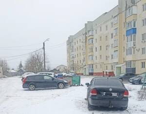 Автохамы в Брянске помешали вывозу мусора
