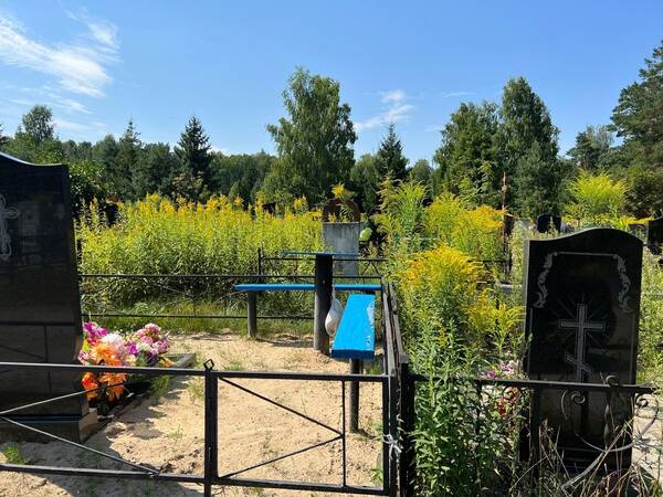 В Брянске кладбище на Володарке захватил ядовитый сорняк золотарник