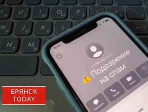В Брянске осудили телефонных мошенников за обман на 2,3 млн рублей