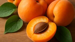 Как выбрать саженцы абрикоса: советы и рекомендации