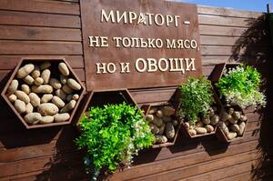 «Мираторг» инвестирует 1,5 млрд рублей в картофельный проект на Брянщине