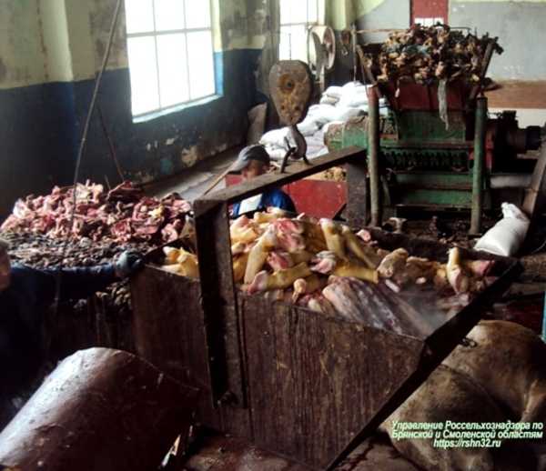 На Брянщину не пустили 2 тонны говяжьих субпродуктов