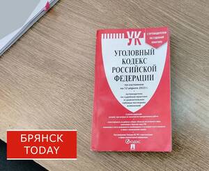 Заведомо ложные показания: брянца оштрафовали за попытку спасти друга