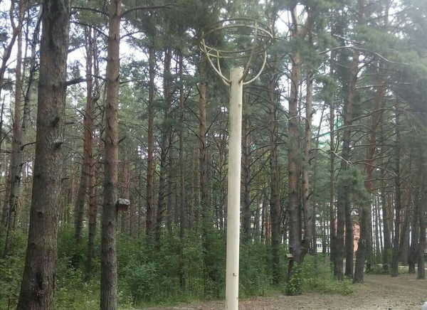 В Брянске вандалы разбили фонари в «Парке Поколений» на Новостройке