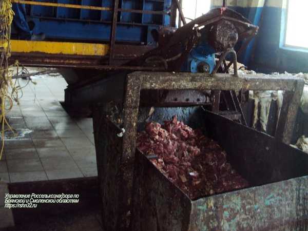 На брянском заводе уничтожили 9 тонн подозрительной говядины
