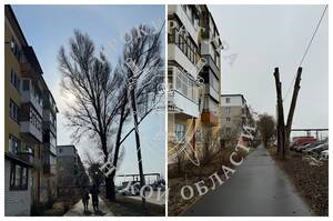 В Володарском районе Брянска обрезали аварийные деревья, угрожавшие ЛЭП