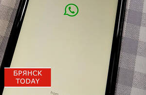 Брянцев призвали остерегаться афер в родительских чатах