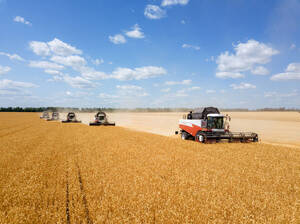 Сергей Гусаров, СПК «Зимницкий»: «ACROS 595 Плюс показал себя отлично даже в сложных условиях — меньше забивался и легче чистился»